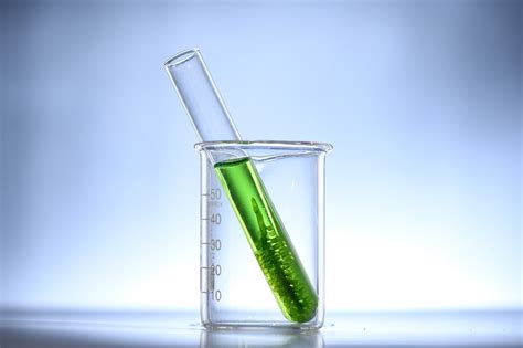 Biodiesel Production from Algae Steps | Environment Buddy