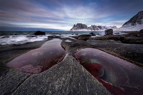 This Sheep-Filled Norway Beach Is Like Nowhere Else in the World