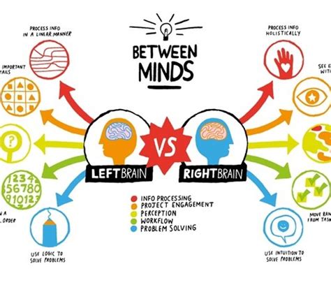 Midbrain Activation in India | Midbrain Activation In Chennai ...