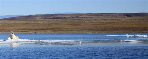 Prince of Wales Island (Nunavut Canada) cruise port schedule | CruiseMapper