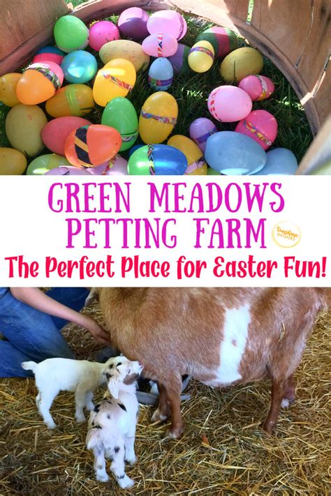 5 Reasons Green Meadows Petting Farm Is The Perfect Place For Easter Fun!