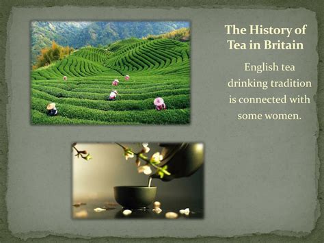 PPT - The History of Tea in Britain PowerPoint Presentation, free ...