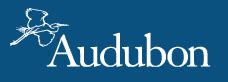 National Audubon Society Jobs and Internships