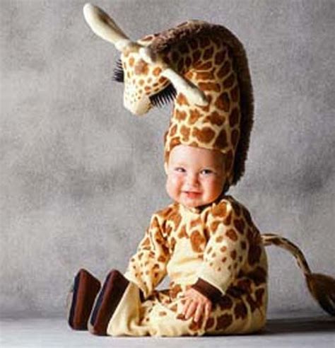 Babies in Baby Animal Costumes: Cute Meltdown | Baby Animal Zoo