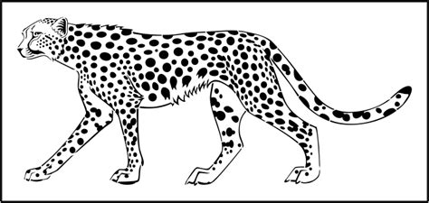 Cheetah Stencil For Walls – Wall Design Ideas