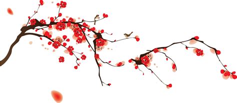 Download HD Cherry Blossom Png Free Vector Download - Drawn Cherry ...