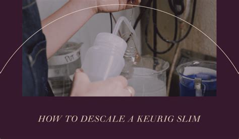 How to Descale a Keurig Slim - Creative Home Idea