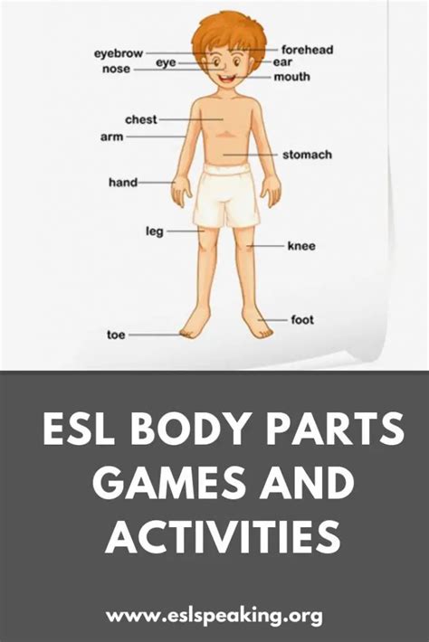 Body Parts ESL Games, Activities, Lesson Plans | Parts of the Body