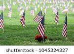American Flags Free Stock Photo - Public Domain Pictures