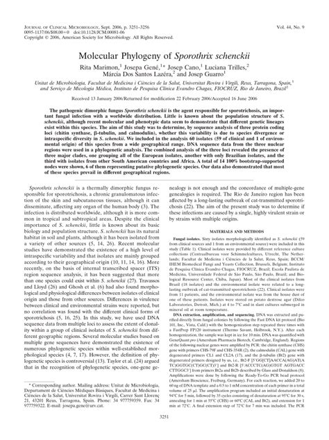 (PDF) Molecular Phylogeny of Sporothrix schenckii