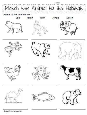 Teach child how to read: Science Animal Needs Worksheets 1st Grade