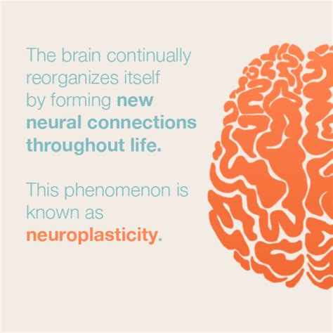 Neurology & Learning - NeuroDiverCity