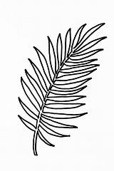 Palm Tree Leaves Coloring Pages sketch template