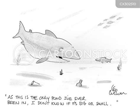 Big Fish In A Small Pond Cartoons and Comics - funny pictures from CartoonStock