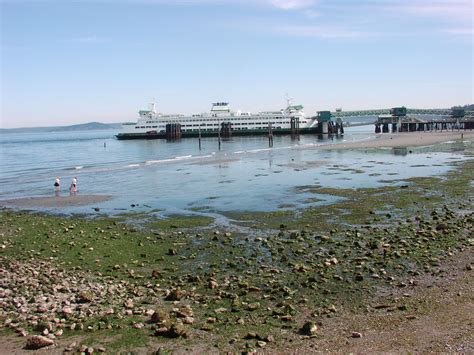 Are Dogs Allowed At Edmonds Beach