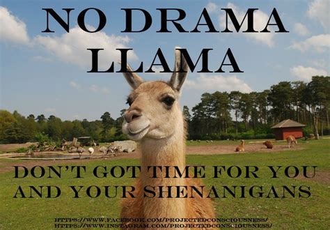 a llama standing on top of a lush green field next to a sign that says ...