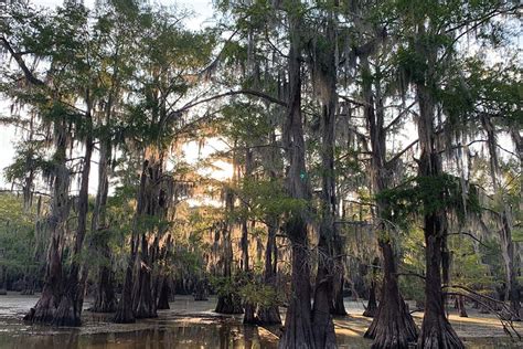 Unveiling the Haunting History of Jefferson, Texas' Ghost Walk ...