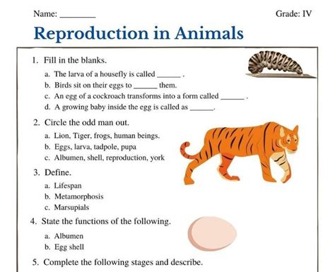 Reproduction in Animals class 4 worksheet | Animal worksheets, Reproduction, Animals