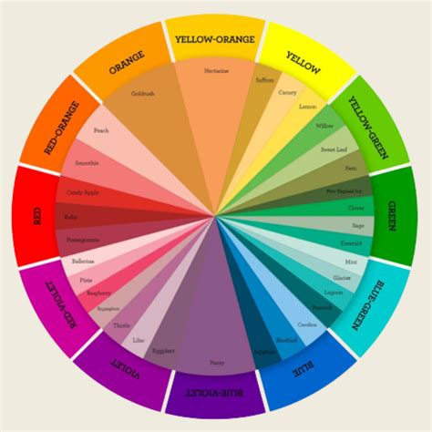 The most common color schemes for your home - Aster Meadow Home