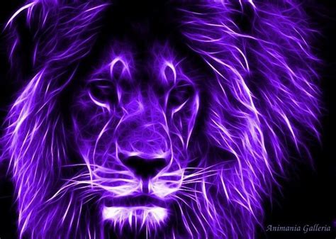 Beautiful purple lion! | Random Things I like | Pinterest | Lions, Beautiful creatures and Creatures