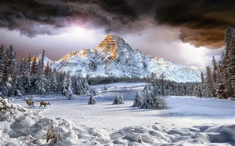 Winter Landscape Image - ID: 294609 - Image Abyss