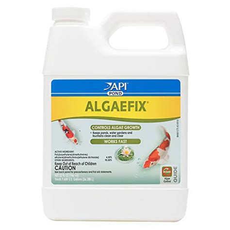 Best Algaecide For Ponds 2024 Where to Buy? SeaweedAfrica.org