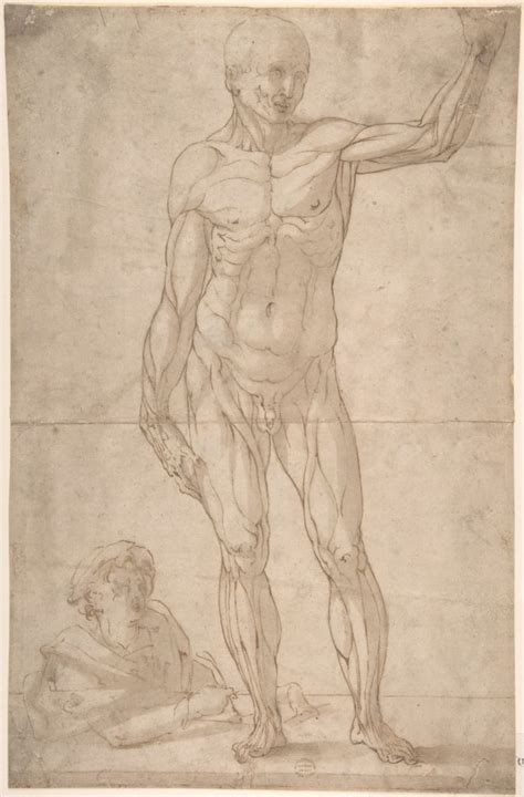 Study of Anatomy: A Youth Drawing an Ecorché of a Standing Man ...