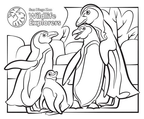 Coloring Pages Of Penguins