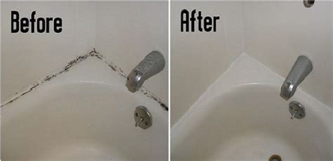 How To Deal With Bathroom Mold - bathroo mamenities list