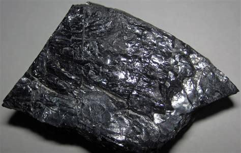 Bituminous coal (Fire Clay Coal, Middle Pennsylvanian, ~31… | Flickr