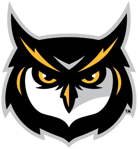 Kennesaw State Owls Alternate Logo (2012) - | Owl logo, Kennesaw state, Owl