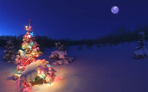 Winter Christmas Tree Wallpapers HD / Desktop and Mobile Backgrounds