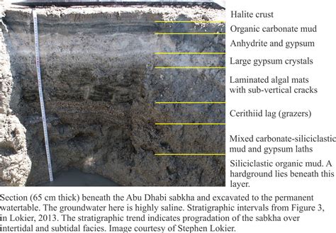 Mineralogy of carbonates; Sabkhas - Geological Digressions