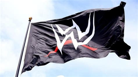 Big WWE HQ Shake-Up As Kristina Salen Replaced As CFO, Vince McMahon ...