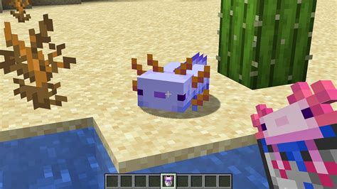 New minecraft axolotl colors - hetyleaders