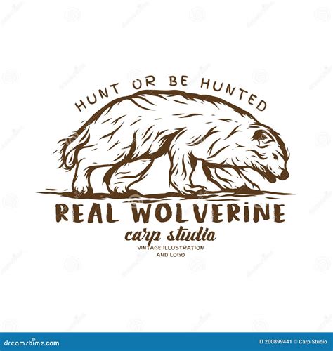 The Real Wolverine Animal, Vector Vintage Illustration Logo Stock ...