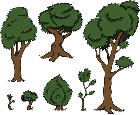 Royalty Free Pecan Tree Clip Art, Vector Images & Illustrations - iStock