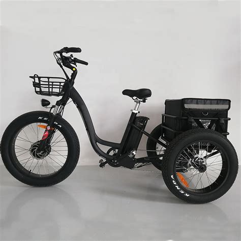 24 inch electric trike fat tire 3 wheels electric tricycle adult cargo – E Smart Way