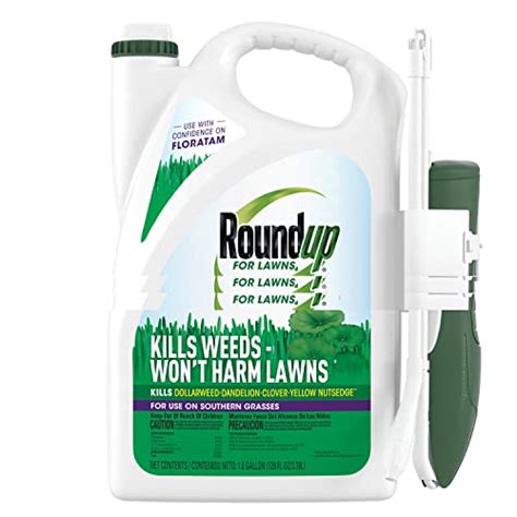 Ultimate Guide On The Best Bermuda Grass Killer For Lawns In 2022 – BNB