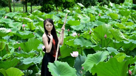 HD Beautiful girl in the lotus pond Wallpaper | Download Free - 150125