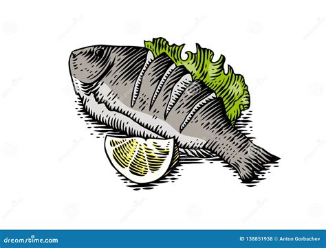 Drawing of fried Fish stock vector. Illustration of isolated - 138851938