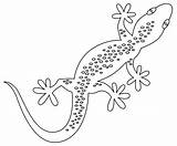 Printable Gecko Coloring Pages Free For Kids And Adults sketch template