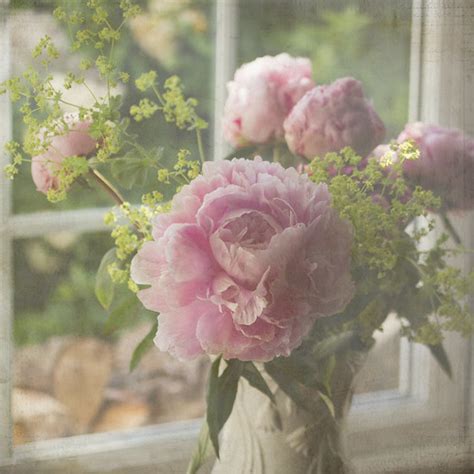 Pink Peonies in vase (with texture) | I loved this vase of p… | Flickr