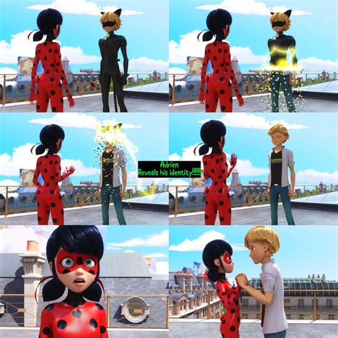 Ladybug and Cat Noir Reveal