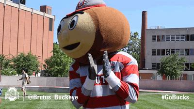 College Football GIF by Ohio State Athletics - Find & Share on GIPHY
