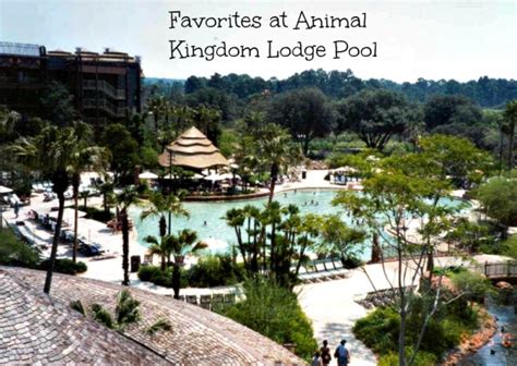 Favorites at Animal Kingdom Lodge Pool