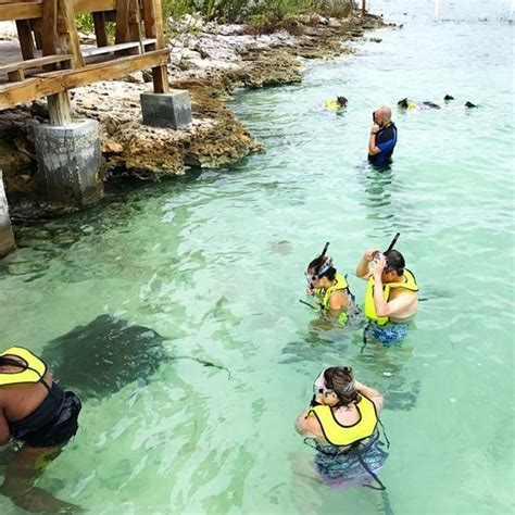 Half Moon Cay | Bahamas snorkeling, Carnival cruise, San salvador island