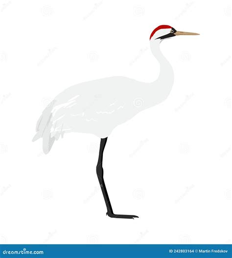 Whooping Crane Cartoon Vector Seamless Background Wallpaper-01 ...