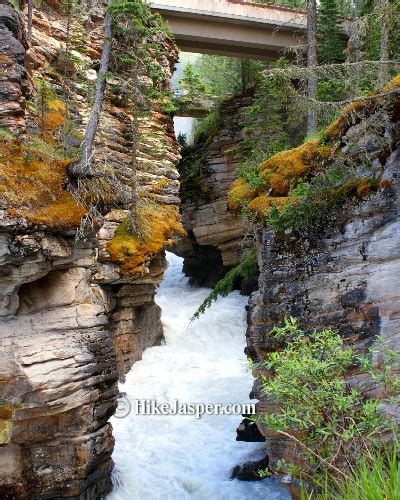 Hike Jasper - Athabasca Falls