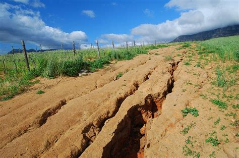 soil erosion Artigos - Wikifarmer